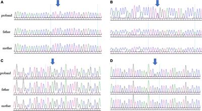 The Role of Microtubule Associated Serine/Threonine Kinase 3 Variants in Neurodevelopmental Diseases: Genotype-Phenotype Association